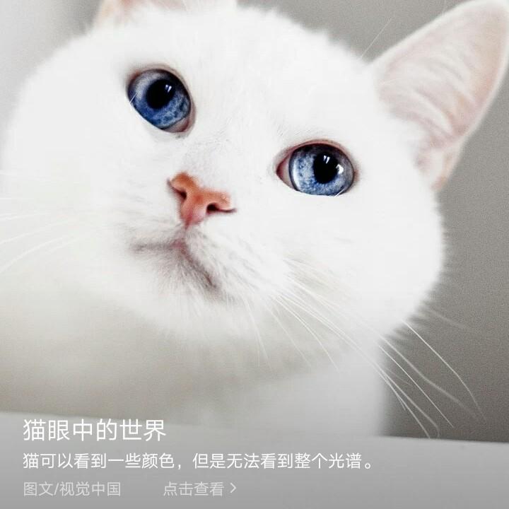 (⑉°з°)-♡杨家女将(⑉°з°)-♡