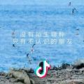 ʊ废物林ʊ