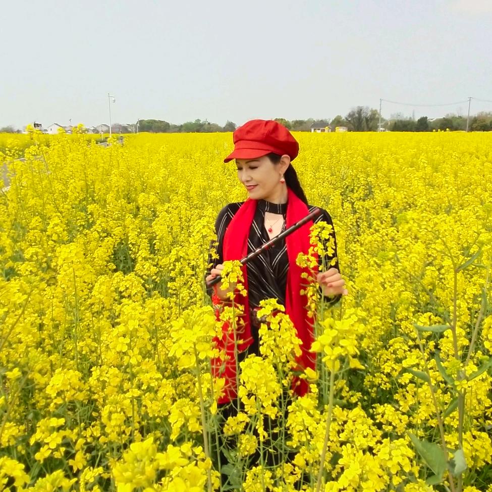 蝶舞清影