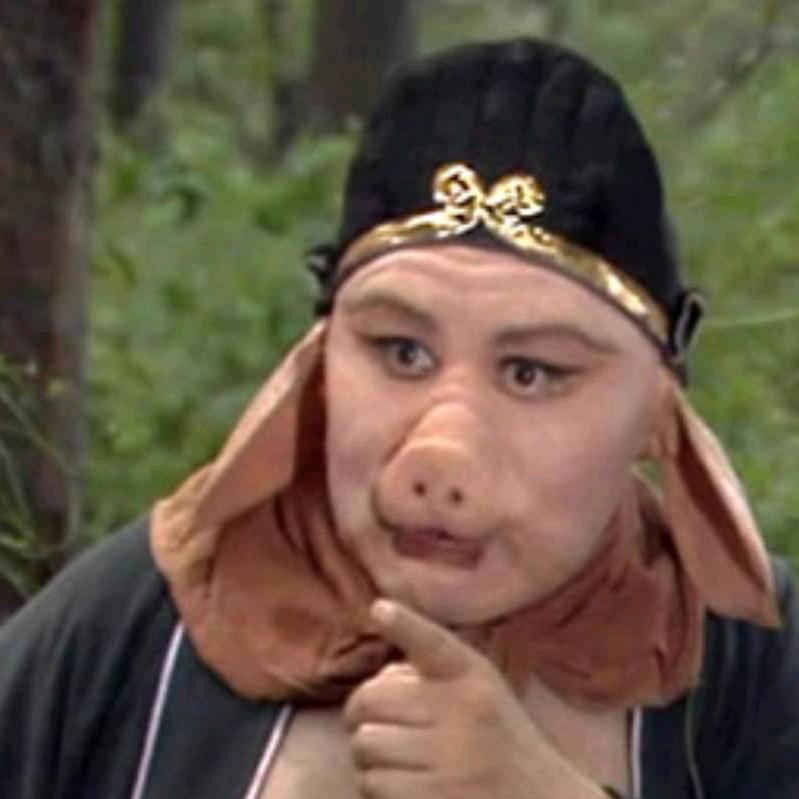 不耍流氓的小痞子