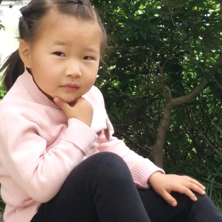 用户233542五月的荷叶