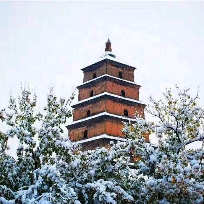 C浪迹天涯