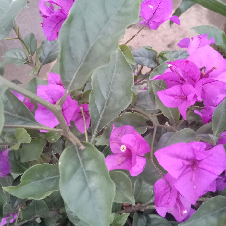 深邃流年