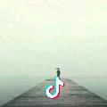 叶辞树