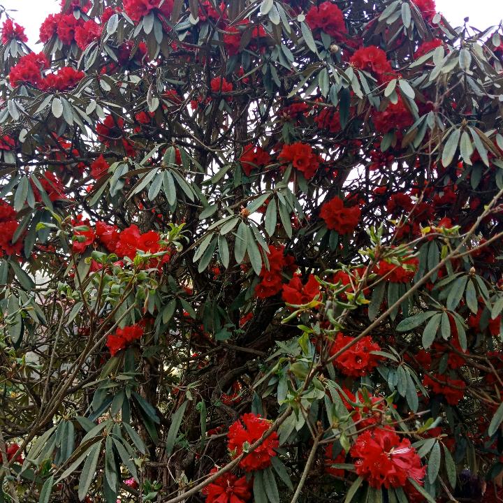 有缘千里来相会，无缘对面不相识