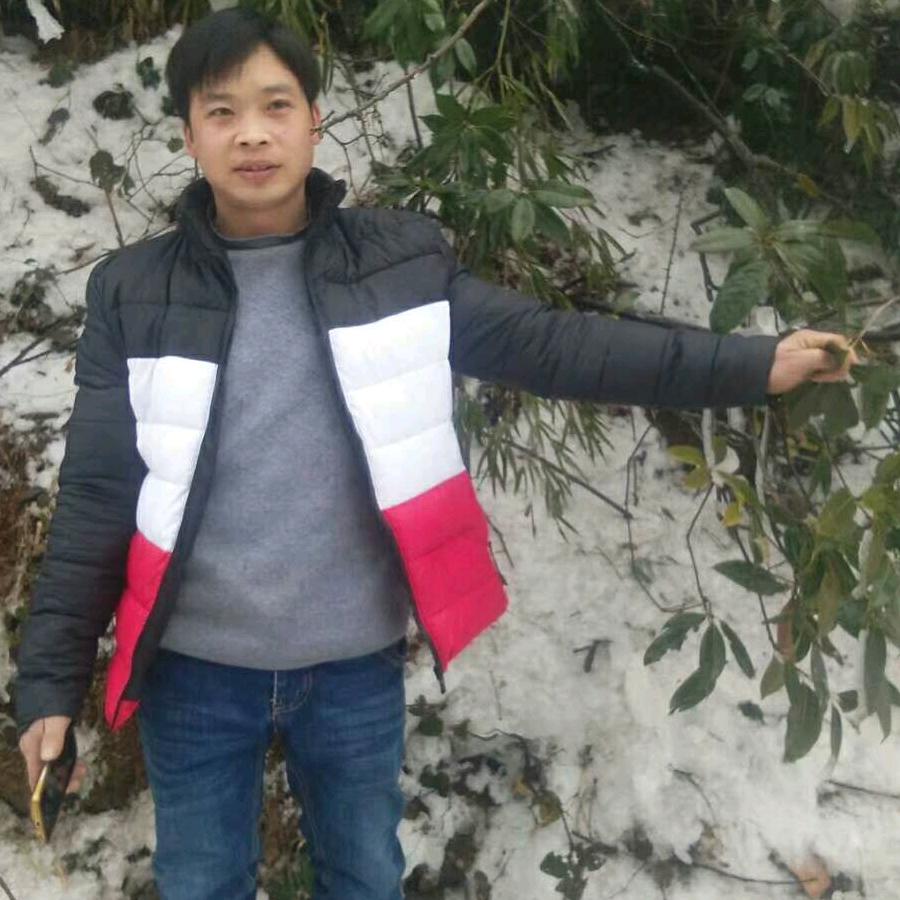 家养土鸡装修工小勇