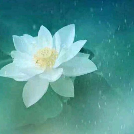 繁星点点