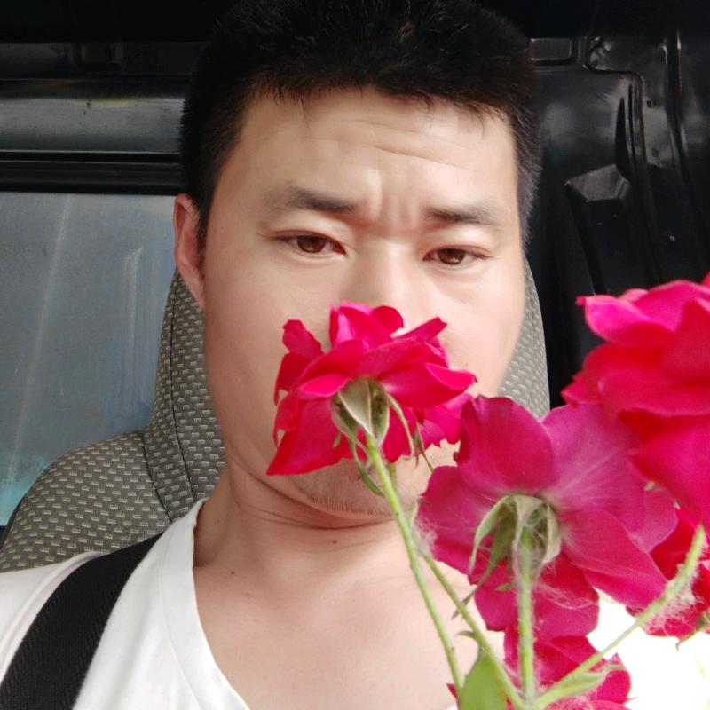 凤台小保修车部故乡的云