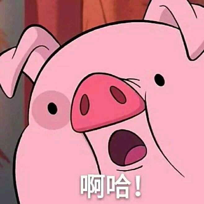 斯斯娱乐
