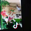 好人一生平安。