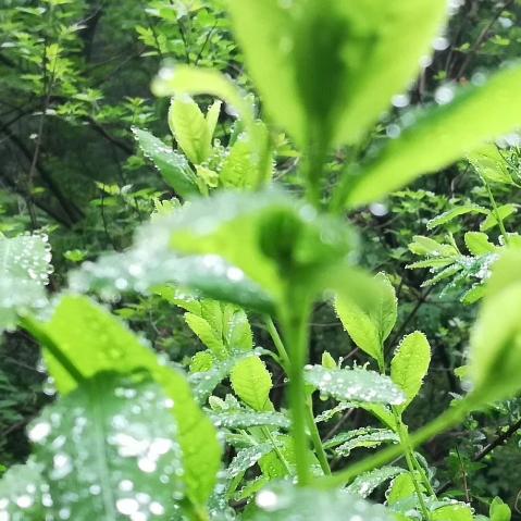 一米阳光