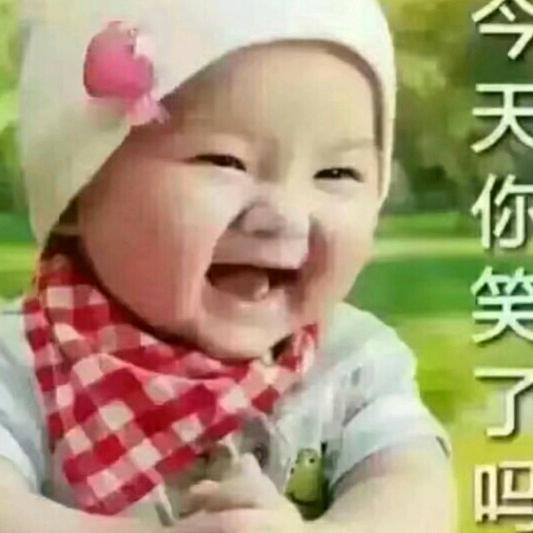 龙姐