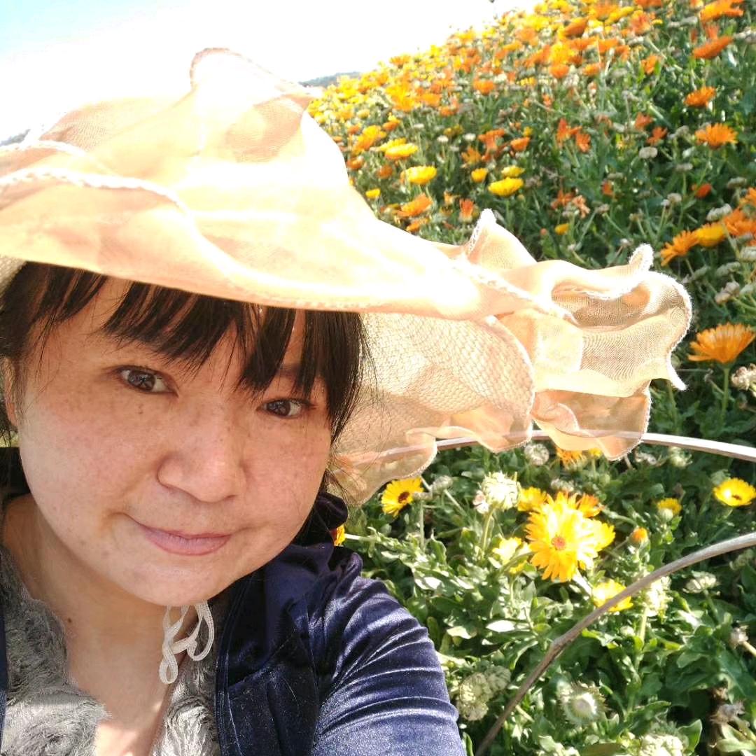 紫爱一生