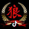 战狼CS#互