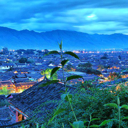 𝓓𝓮𝓐𝓡⁵²º࿐❥⅓¼