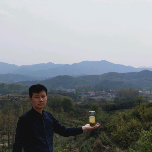 沉心茶业