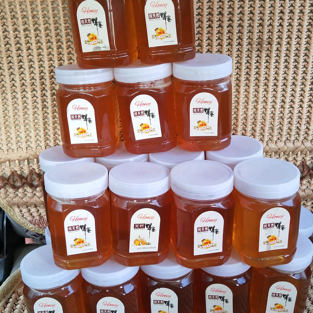 【张三爷！养蜂行】