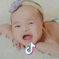 帅狗
