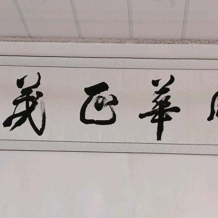 飞翔驾校(招生)