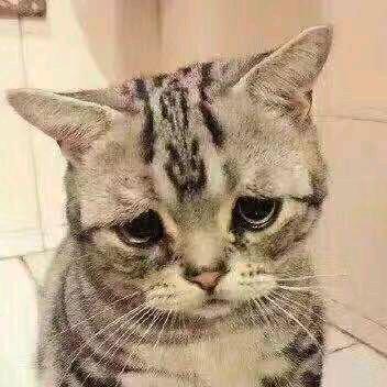 (≧∇≦)闫之有李٩(๛ ˘ ³˘)۶♥