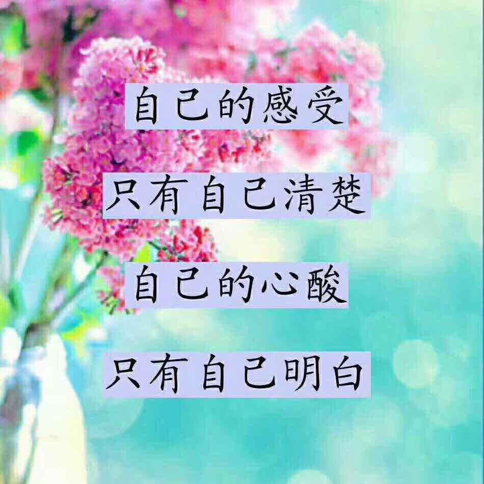前程似锦HC