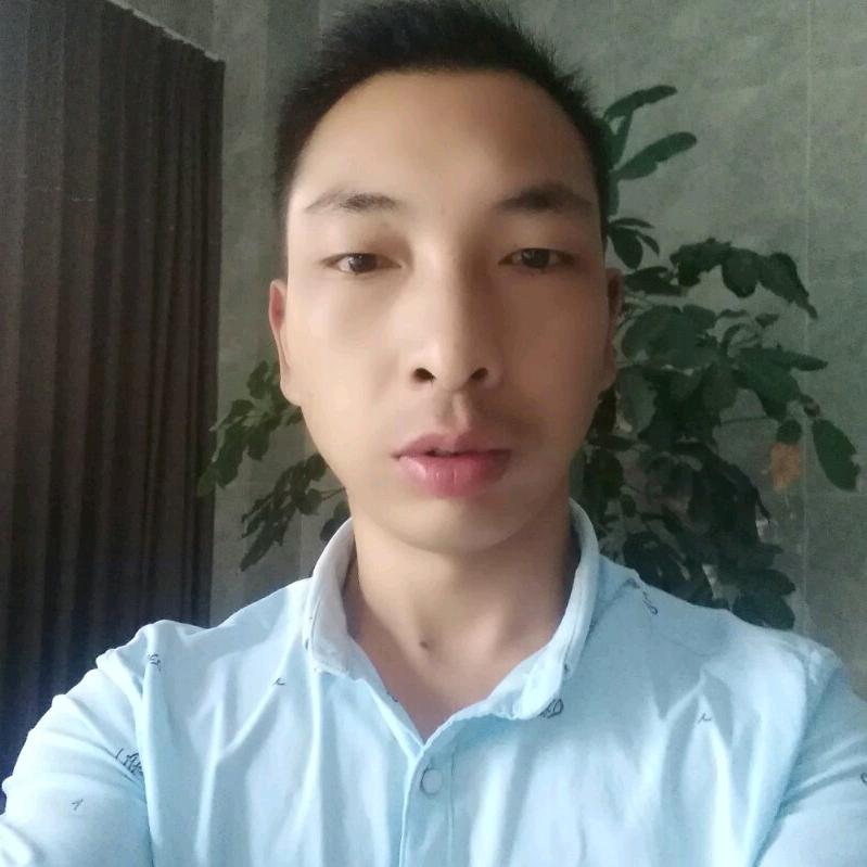 風行天下