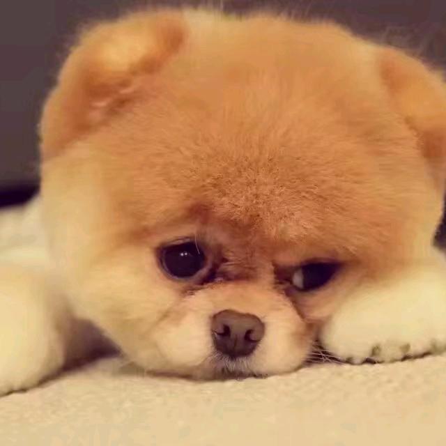 冰魂