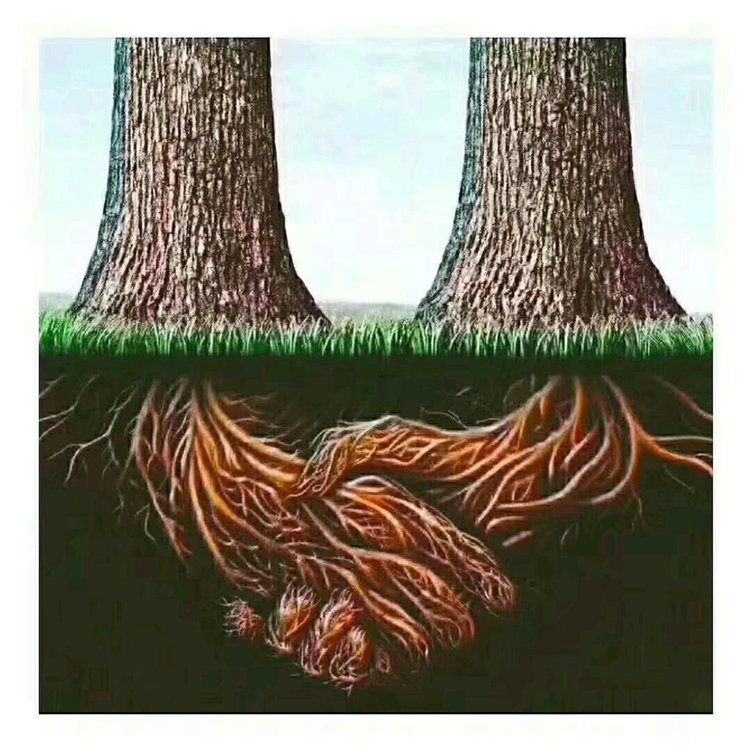 明天会更好！！！