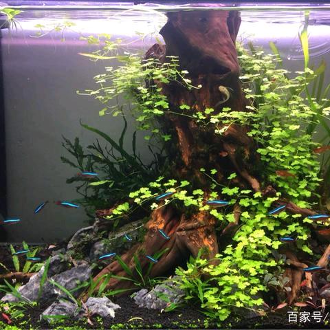 萌萌💤