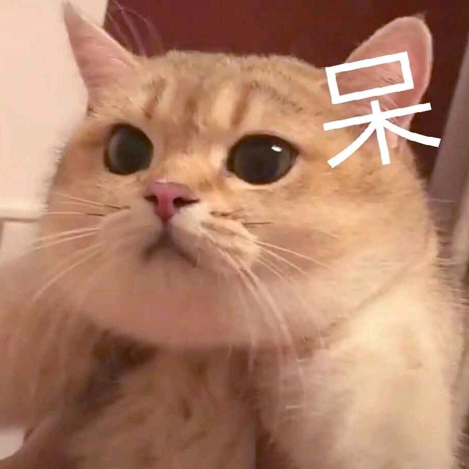 曲项向天喵喵喵