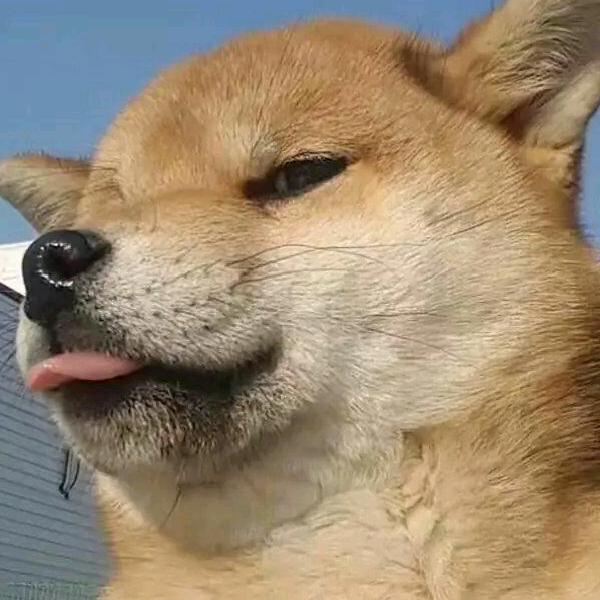 爱的前生今世