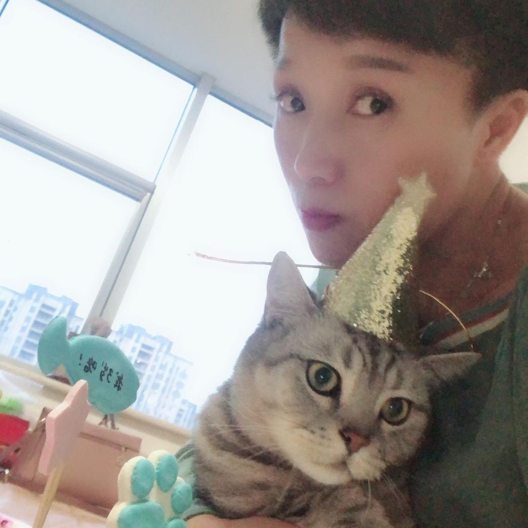 雪儿:会说话的猫