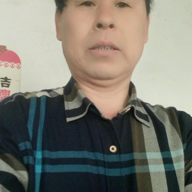 竹林听雨