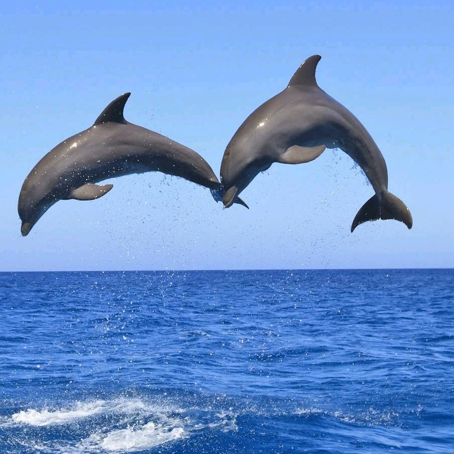 从你的全世界路过