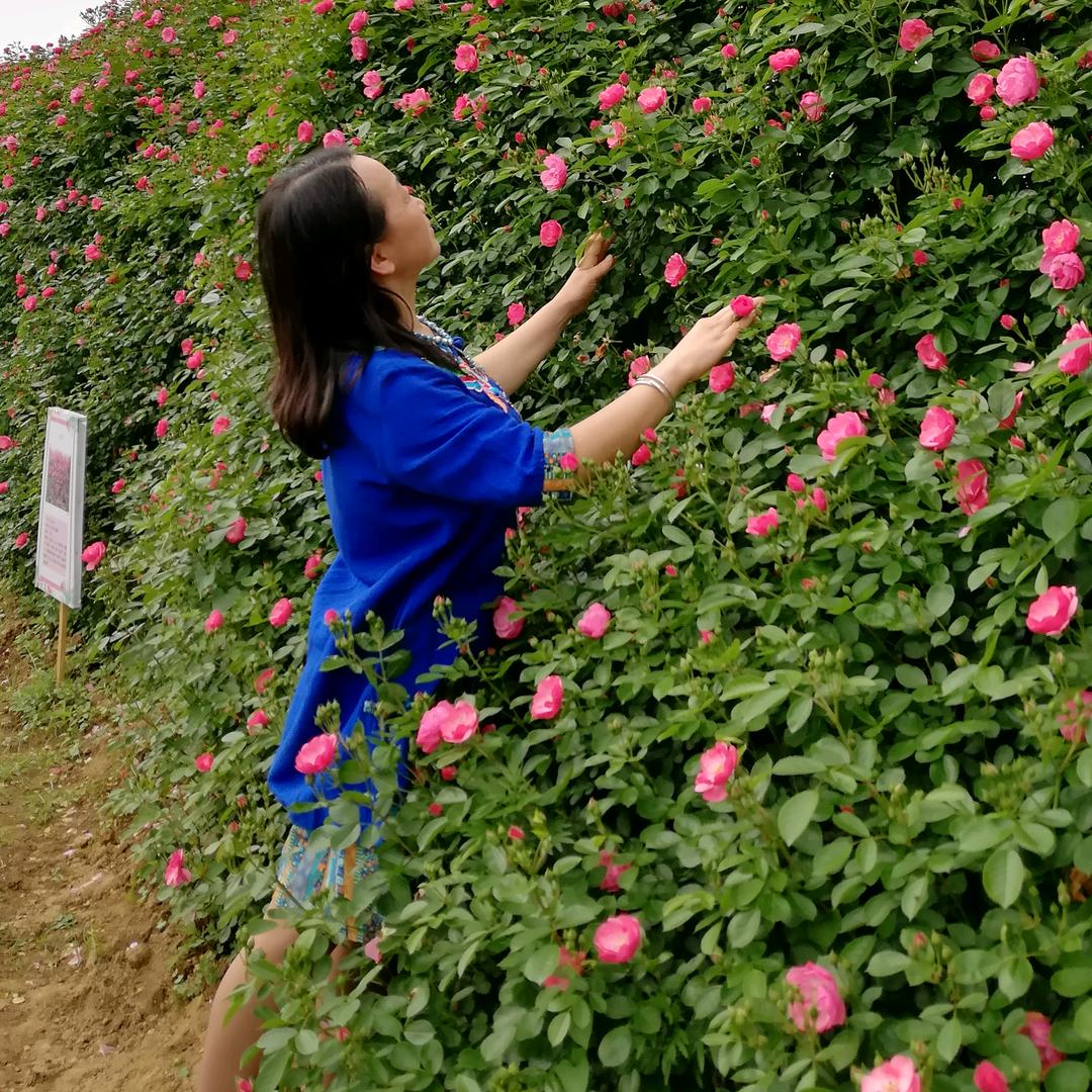 阿珍（吚美丽）