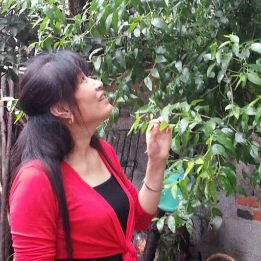 快乐人生（手机摄影）@抖音