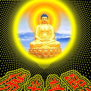 随遇而安