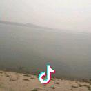 我就屠你能郑钱