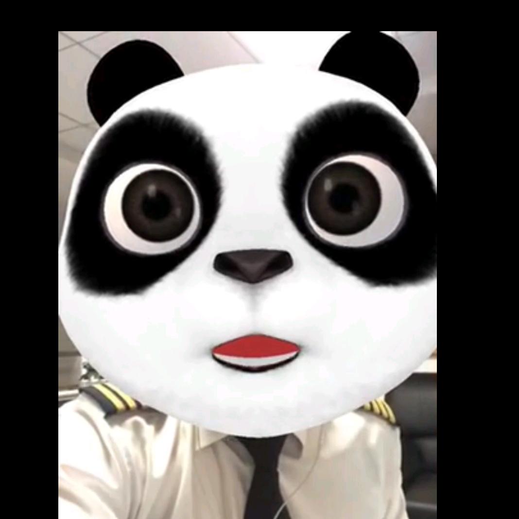 机长我有个问题