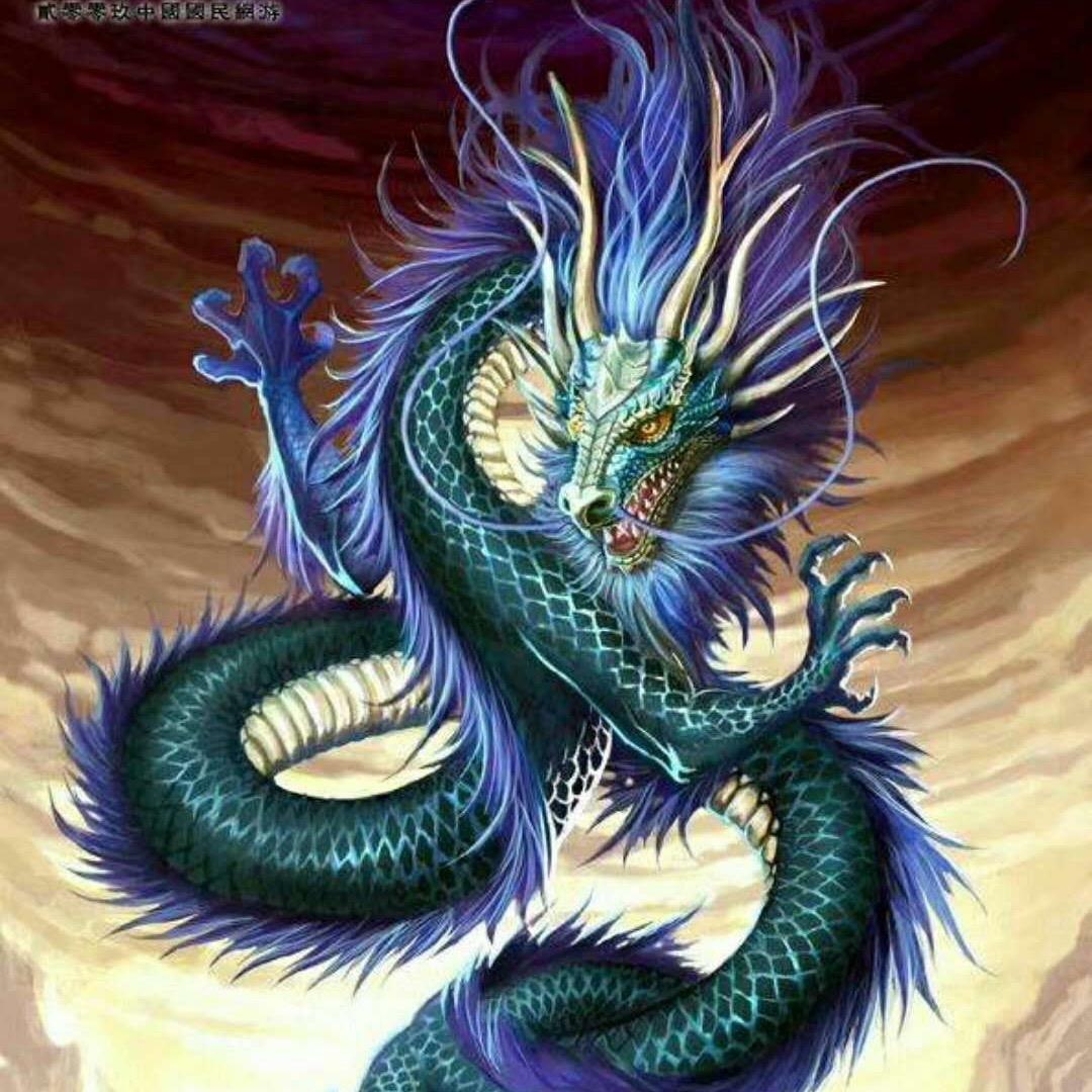 淡年华