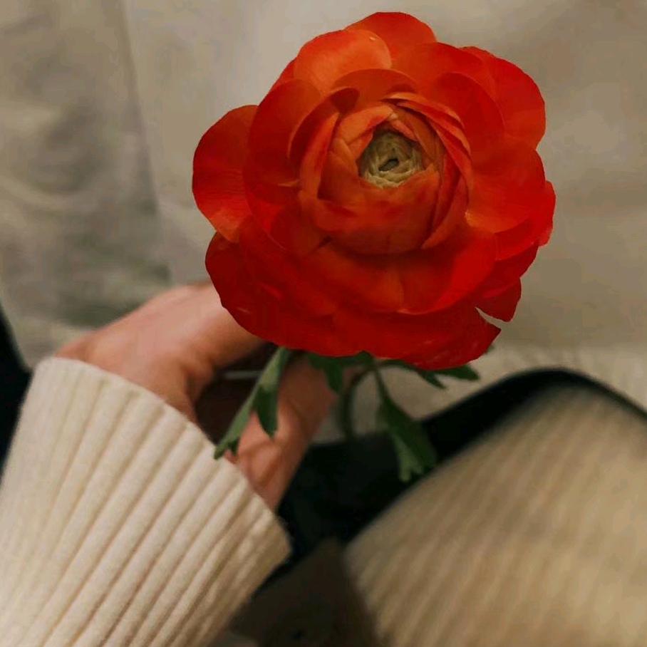 用户知足常乐富贵一生4678316992