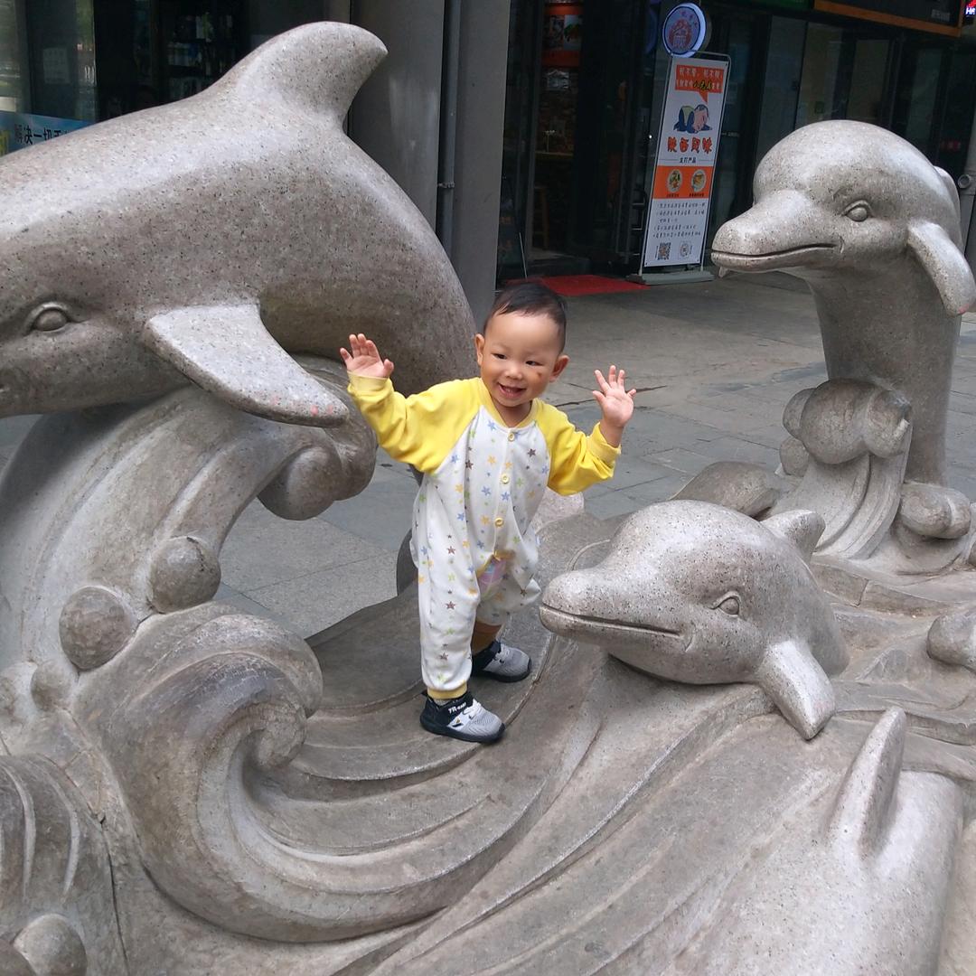 墨趣墨♥学书