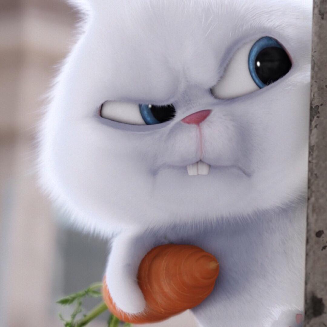 ღ҉杞人忧天จุ๊บ