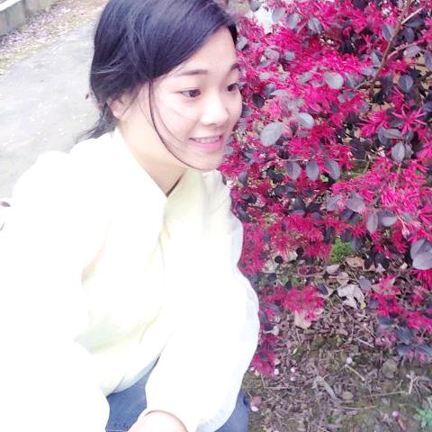 🌈喜洋洋与灰太狼