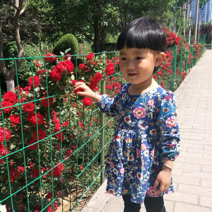 LOVE是泡沫