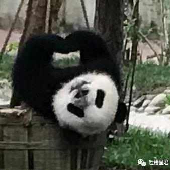 笑笑大魔王