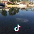 香