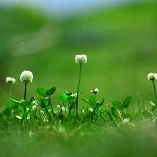 高平市古城路丽人服饰
