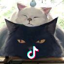 小曾