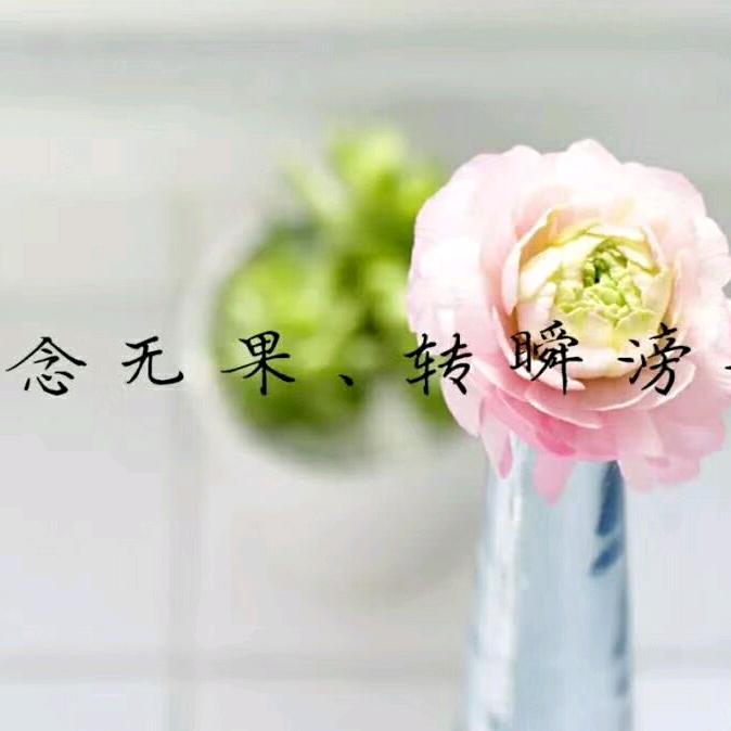 🍀随遇而安